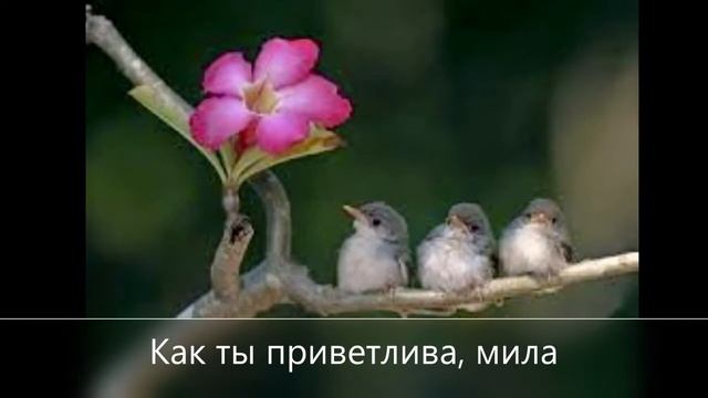 Поздравление с днем рождения весной! Очень красивое