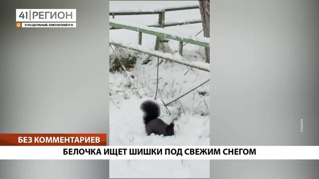 Новости Камчатки за 30 октября 2023 года