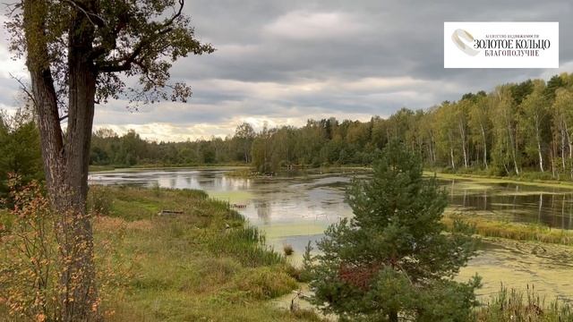 Видеообзор Запруды - Плотины в деревне Алабухино, Александровский район, Владимирская обл. #природа