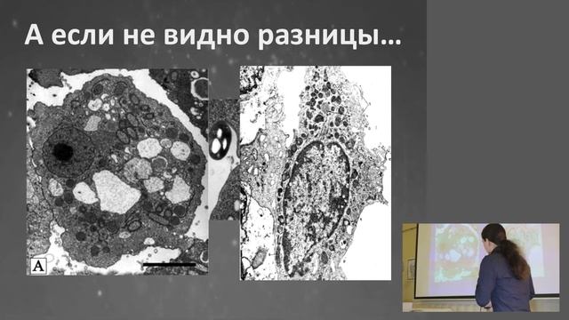 Почему бактерии вызывают болезни? Познаем Общаясь - XIII конференция (часть 2)