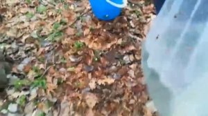 СОБИРАЕМ БЕРЕЗОВЫЙ СОК В ЛЕСУ. ЗАГОТОВКА БЕРЕЗОВОГО СОКА 2018 ВИДЕО