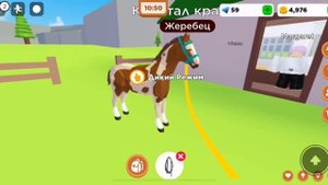 СКРЕСТИЛА ЛОШАДЕЙ! HORSE VALLEY