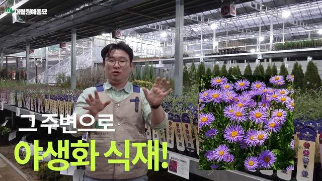 [ENG] Ep.116 초보가드너 강추🤗 키우기 쉬운 덩굴식물! 덩굴식물의 여왕 클레마티스😎 (ft.단 7일간 특별 이벤트!🎈)
