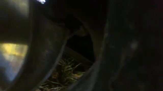 проблема с коробкой! смотреть онлайн