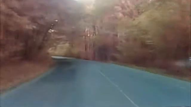 Овца и красный круг смотреть онлайн