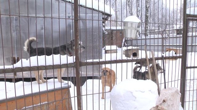 Валента - переселение