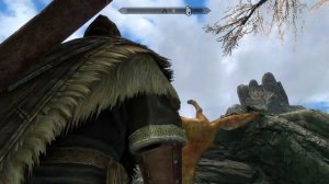 Skyrim.exe has SNAPPED*