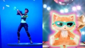 Кот и енот танцуют