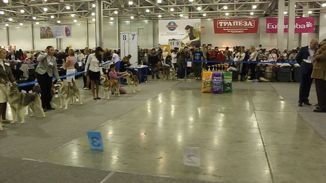 России 2011 Моно СХ Открытый класс смотреть онлайн