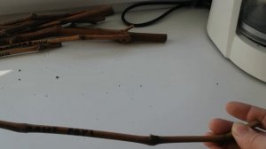 Посылка с черенками винограда от Мансурова Сергея