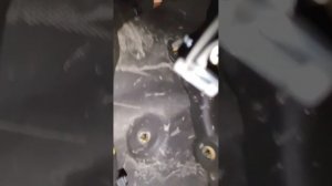 Замена вентилятора печки Mini cooper S r56 2007 года