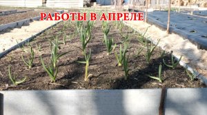 Работы в огороде в апреле.