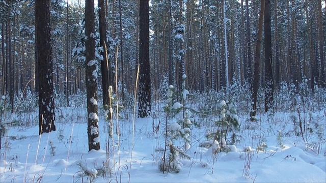 Добиваюсь полного восстановления здоровья сердца