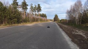 REMO HOBBY RALLY MASTER RH8081 ОБЗОР, ПОКАТУШКИ 1