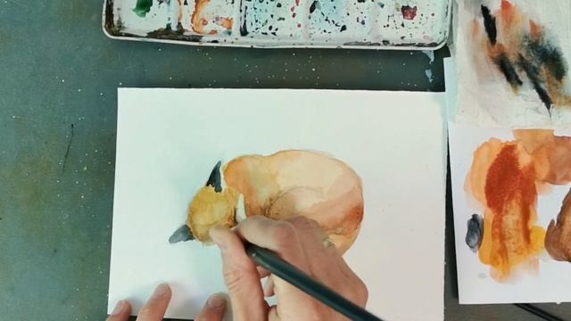 Sleeping Fox watercolor, speedpaint/ Акварель Спящая лиса смотреть онлайн