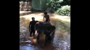 Южный Гоа. Палолем.Индия. Красивые места