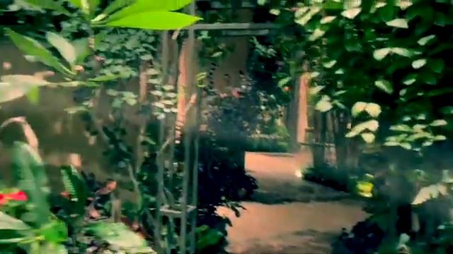 TROPICAL RAINFOREST PLANTS FLOWERS RHODODENDRON CHRYSANTHEMUM LONGWOOD GARDENS BEST BOTANICAL USA 2 смотреть онлайн