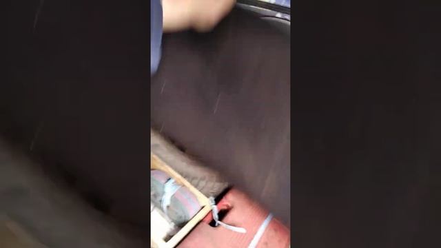 спальник ford фокус своими руками смотреть онлайн