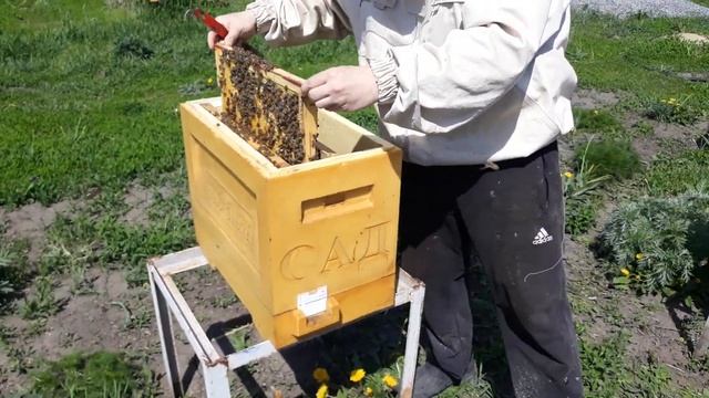 РАБОТА С ХВОСТАМИ ПОСЛЕ ПРОДАЖИ ПАКЕТОВ ЧТО Я С НИМИ ДЕЛАЮ смотреть онлайн