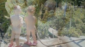 Берегите своих детей!..  - Ия (стихи   Светлана Карпук)