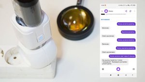 Умная Wi Fi розетка для вашего дома. Умный дом с Алисой | Tuya | Smart Life| Управление голосом