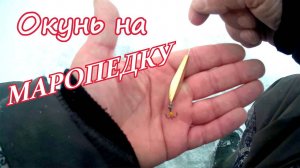 Окунь, на маропедку.