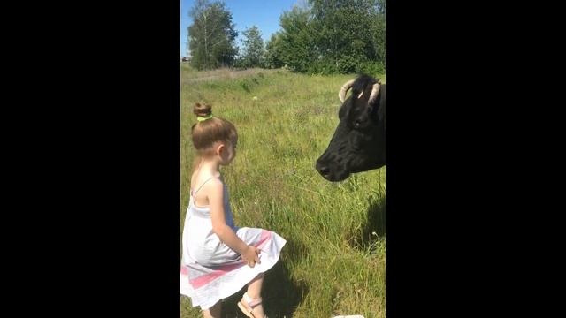 Иванка и чёрная корова смотреть онлайн