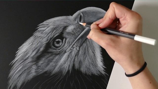 White Pencil on Black Paper | Drawing a White-Tailed Eagle in White Colored pencil | Bird Drawing смотреть онлайн