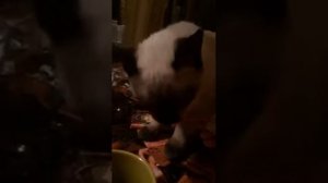 Соломка с маком...