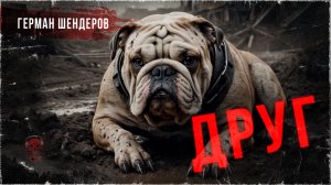 ДРУГ. Злые истории | ССК