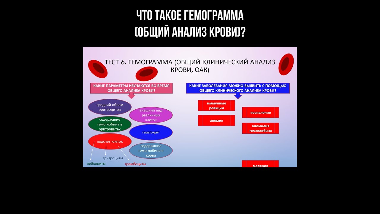 Что такое гемограмма (общий анализ крови)?