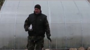 Желтеет чеснок. Лечение.