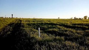 Электро пастух Статик-3м отзыв