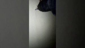 Как установить настенный светильник, как подключить светильник на стене KENNY монтаж бра на стену,