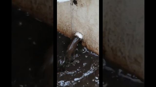 Станция биологической очистки ЕВРОЬИОН 8 смотреть онлайн