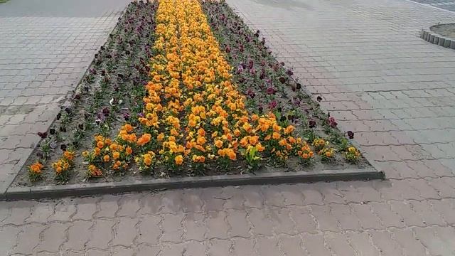 Зразок квітника 20 Клумби з узорами Усім гарного дня!