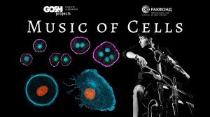 Music of Cells