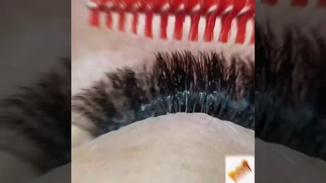 Объемные реснички! Наращивание ресничек ПЯТИГОРСК! Студия красоты Лак&Мус