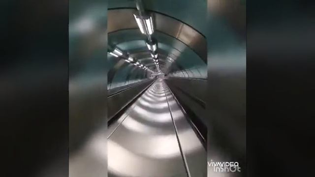 Переход метро "Пионерская". СПб смотреть онлайн