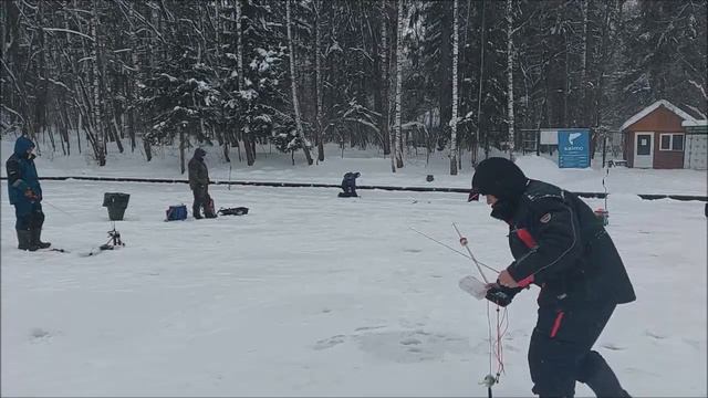 Форель отзывается на раттлины. Клёвое  место, Лосиный остров, спорт-зона.
