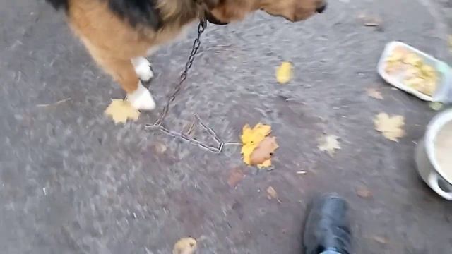 ГОСТ 2061 20231113