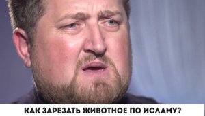 Как зарезать Животное согласно Исламу?