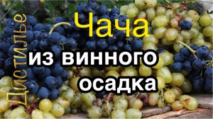 Чача из винного осадка