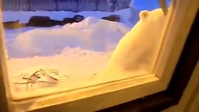 Жесть!!!! Белые медведи атакуют вахтовиков смотреть онлайн