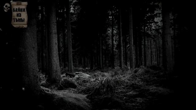 Лесные истории на ночь. Лесная мистика (4в1)