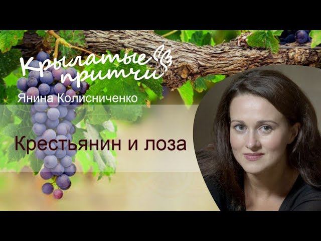 Крестьянин и лоза - Крылатые притчи Леонардо да Винчи - Янина Колесниченко