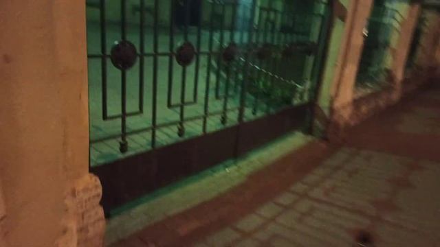 Прогулка ночью в СПБ смотреть онлайн