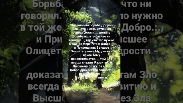 #рдрс #отцовскаякнига #жизнь #философия #саморазвитие