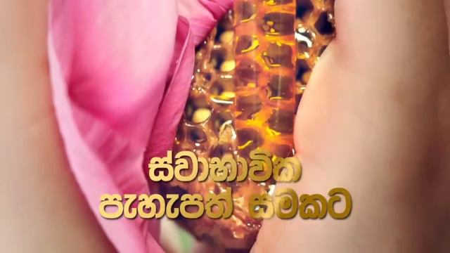 New LUX Botanicals смотреть онлайн