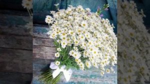 Евгений  Дога (Вальс  цветов)